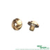 5KU Stainless Grip Screw Type-B for MARUI Hi-Capa GBB ( GB-646 ) - Gold